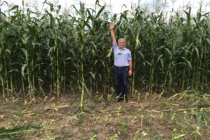 Уборка силосной кукурузы в Концерн РИАЛ-Агро, Кабардино-Балкария