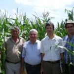 День поля кукурузы 2008