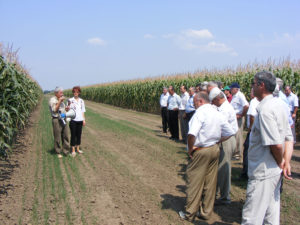 День поля 2008: «Подбор гибридов кукурузы и подсолнечника для условий Юга России»