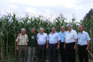День поля 2008: «Подбор гибридов кукурузы и подсолнечника для условий Юга России»