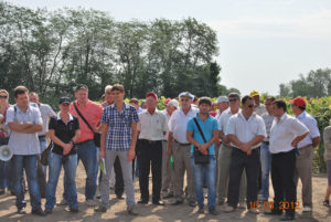 День поля кукурузы и подсолнечника 2012 в Кабардино-Балкарии