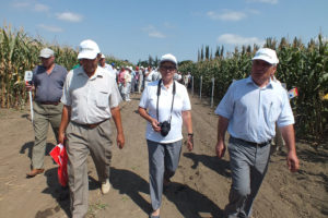 Участие агрофирмы «Отбор» в днях поля в Самарской, Белгородской областях и в собственном дне поля